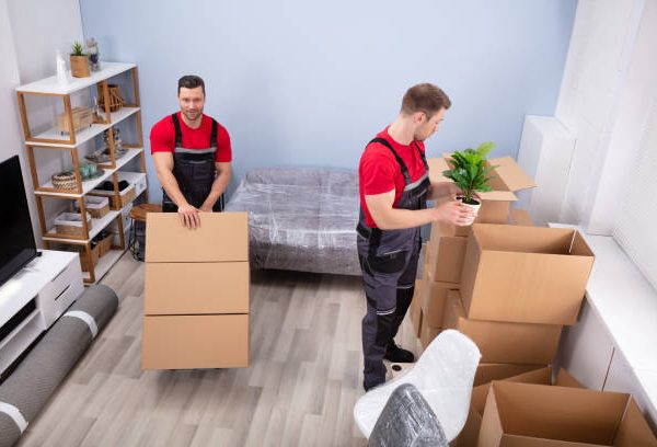 Commercial Movers Dubai