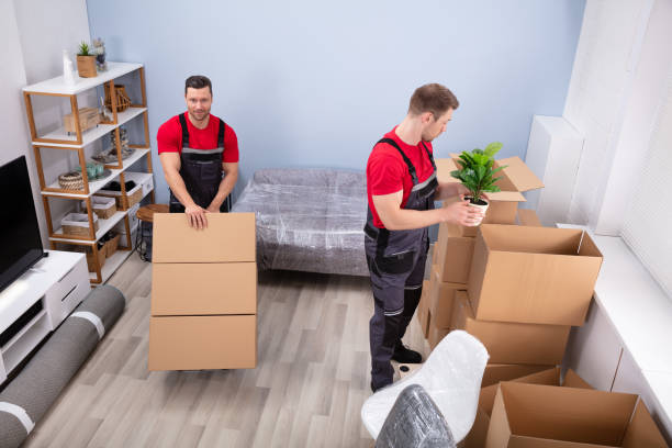 Commercial Movers Dubai