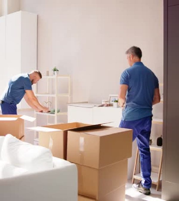 Professional Movers and Packers Dubai