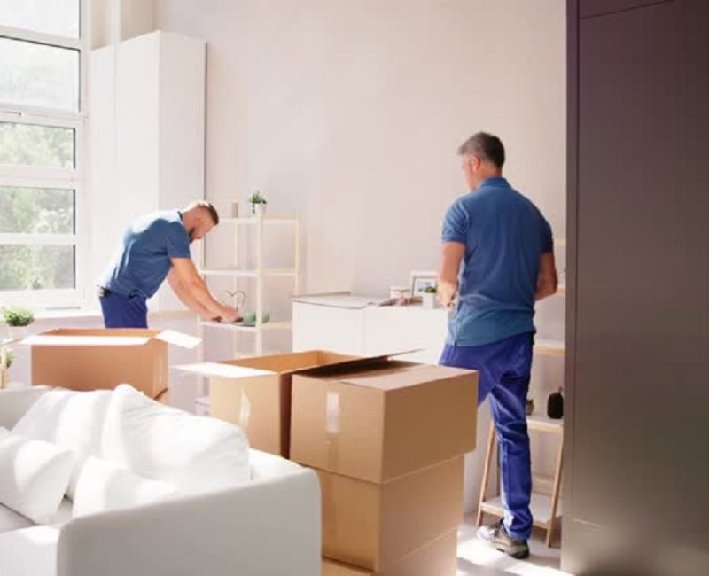 Professional Movers and Packers Dubai