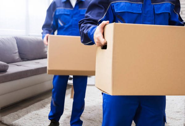 UAE Movers And Packers