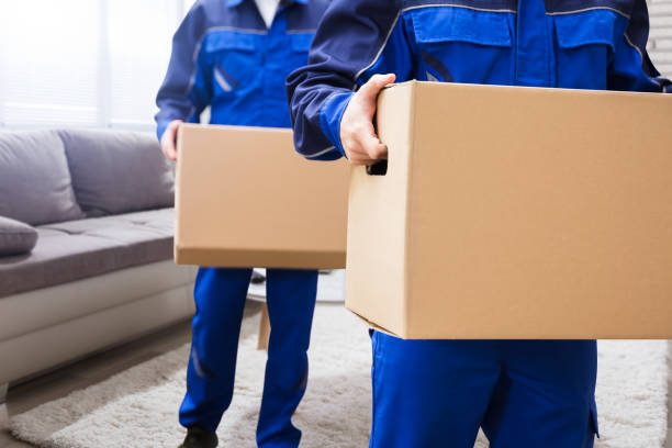 UAE Movers And Packers